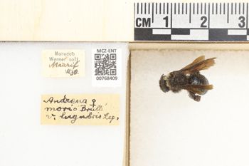 Media type: image;   Entomology 768409 Aspect: Labels
